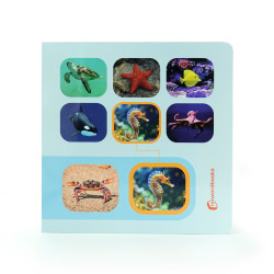 Busca y encuentra animales marinos