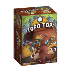 Topo Top