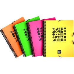 Carpeta fluor 40 fundas